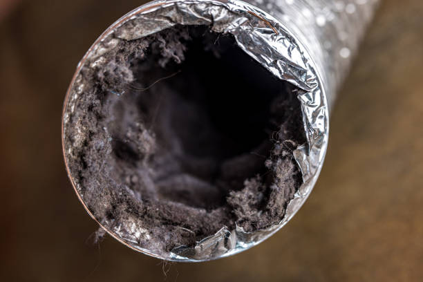 Best Best Air Duct Cleaning Company  in Pacolet, SC